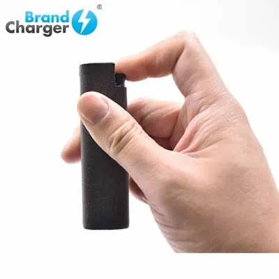 BrandCharger Spare 3 in 1 Sanitizer Case