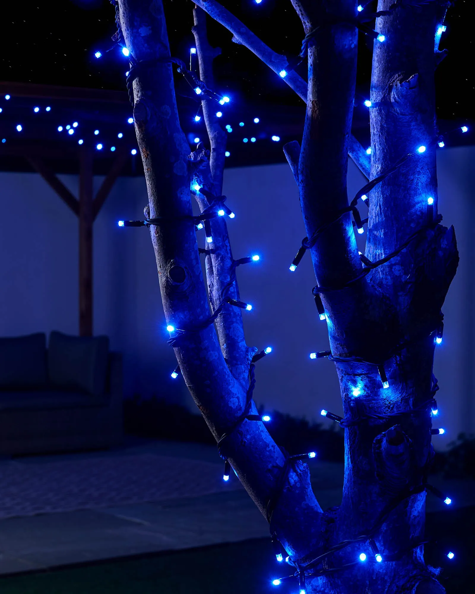 LINK PRO LED String Lights, Black Cable, Blue