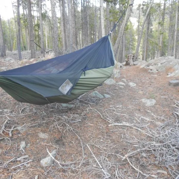 Warbonnet Blackbird Original Hammock