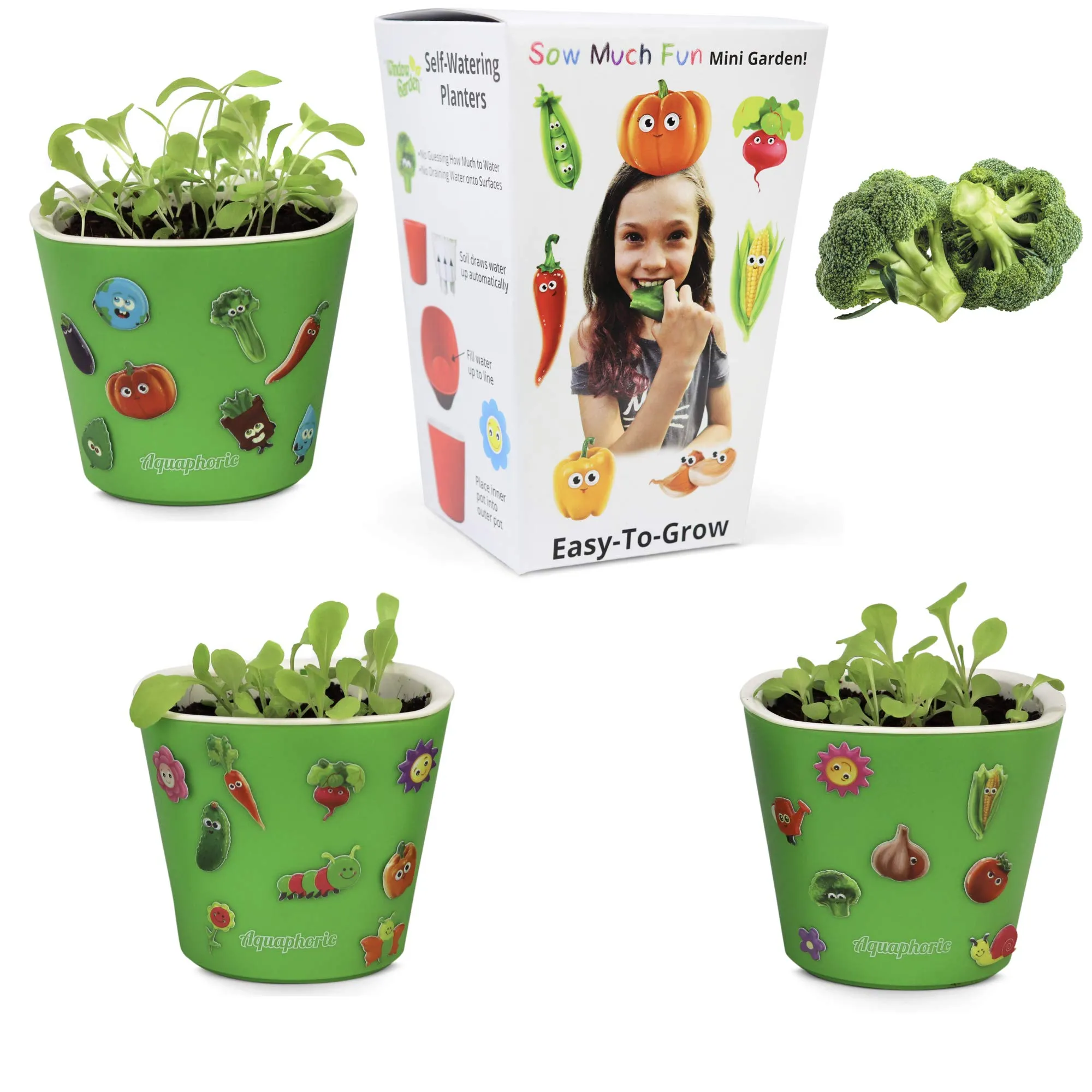 Window Garden Sow Much Fun Seed Starting, Vegetable Planting and Growing Kit for Kids, 3